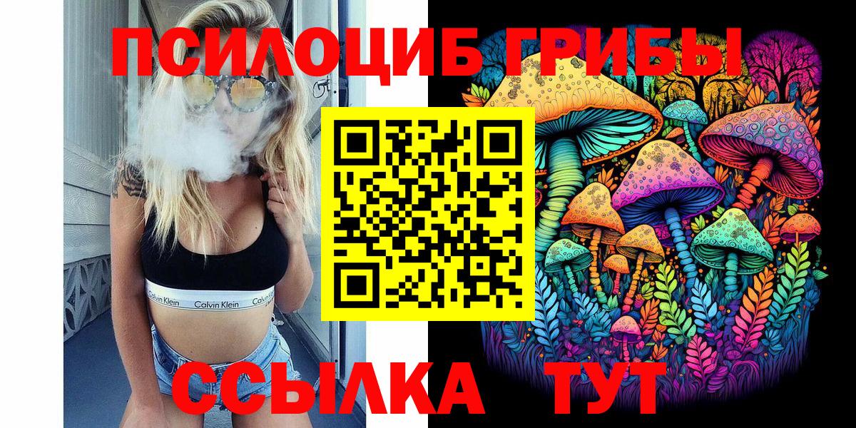 Галлюциногенные грибы прущие грибы  Псилоцибиновые грибы мицелий  Кизляр  Вход с VPN 