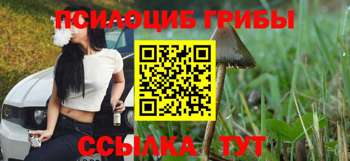 Галлюциногенные грибы мицелий Кизляр